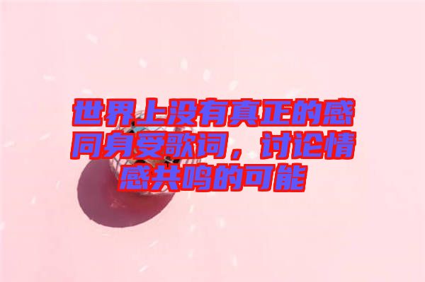 世界上沒有真正的感同身受歌詞，討論情感共鳴的可能
