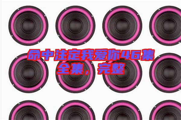 命中注定我愛你46集全集，完整