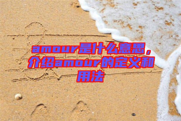 amour是什么意思，介紹amour的定義和用法