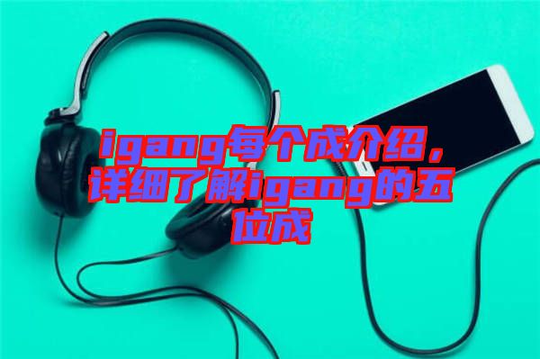 igang每個成介紹，詳細了解igang的五位成