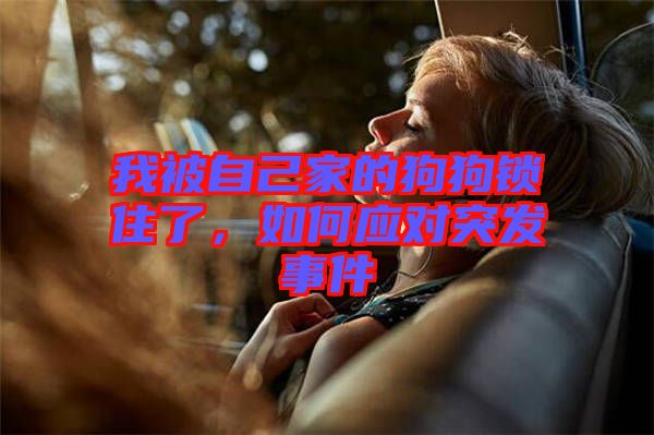 我被自己家的狗狗鎖住了，如何應對突發事件