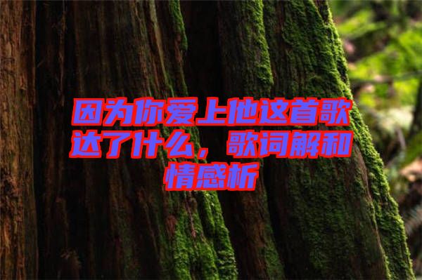 因為你愛上他這首歌達了什么，歌詞解和情感析