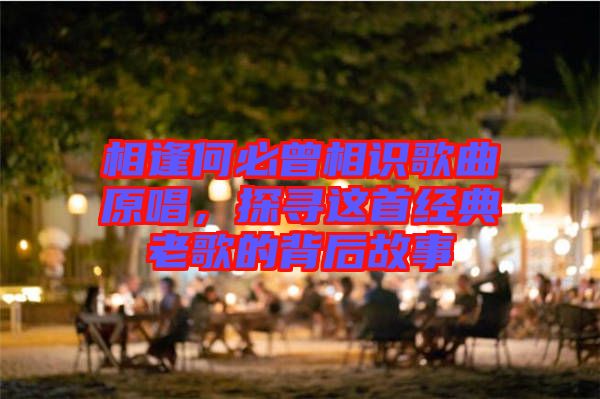 相逢何必曾相識歌曲原唱，探尋這首經(jīng)典老歌的背后故事