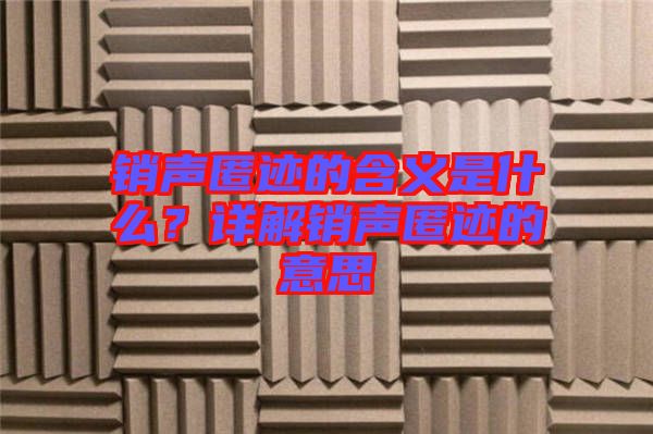銷聲匿跡的含義是什么？詳解銷聲匿跡的意思