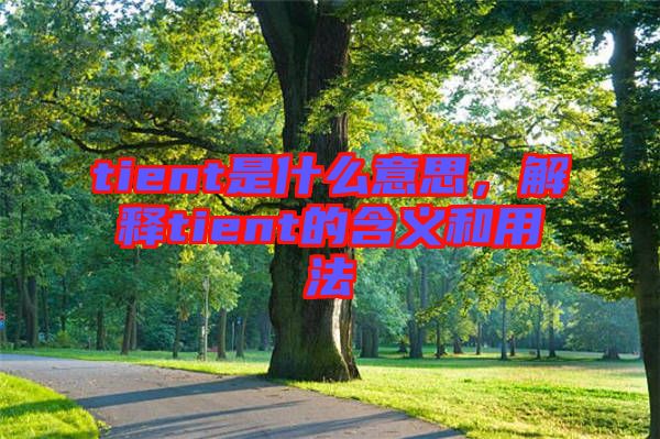 tient是什么意思，解釋tient的含義和用法