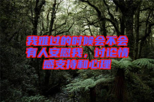 我難過的時候會不會有人安慰我，討論情感支持和心理