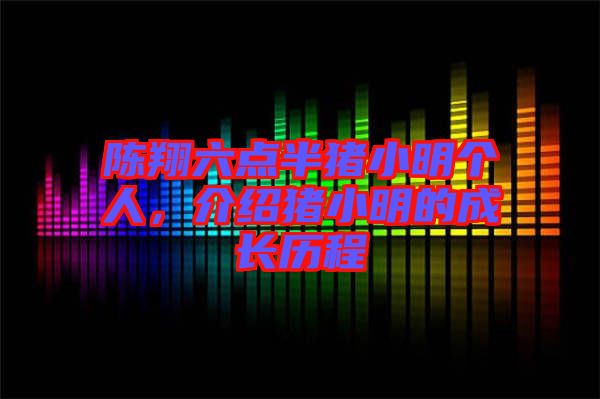 陳翔六點半豬小明個人，介紹豬小明的成長歷程