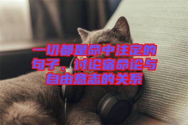 一切都是命中注定的句子，討論宿命論與自由意志的關(guān)系
