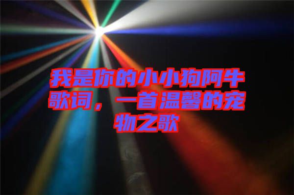 我是你的小小狗阿牛歌詞，一首溫馨的寵物之歌