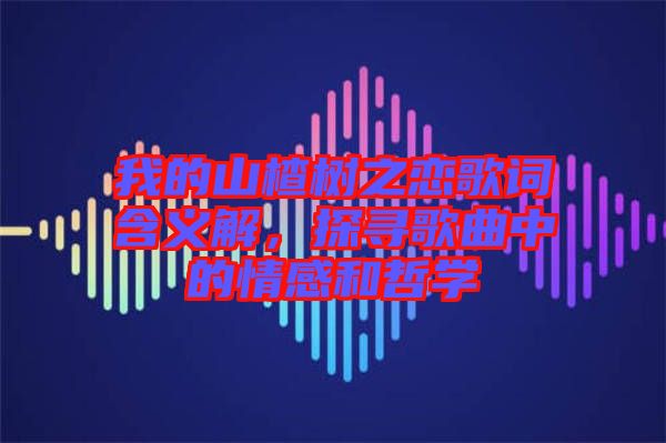 我的山楂樹之戀歌詞含義解，探尋歌曲中的情感和哲學