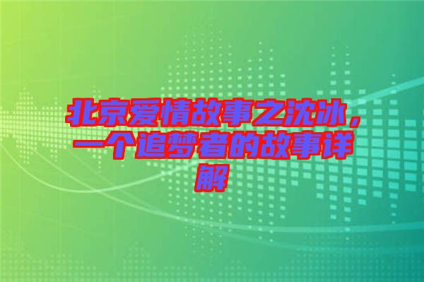 北京愛情故事之沈冰，一個追夢者的故事詳解