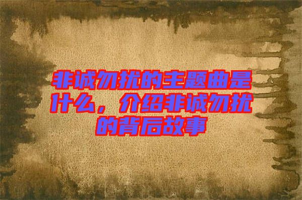 非誠勿擾的主題曲是什么，介紹非誠勿擾的背后故事