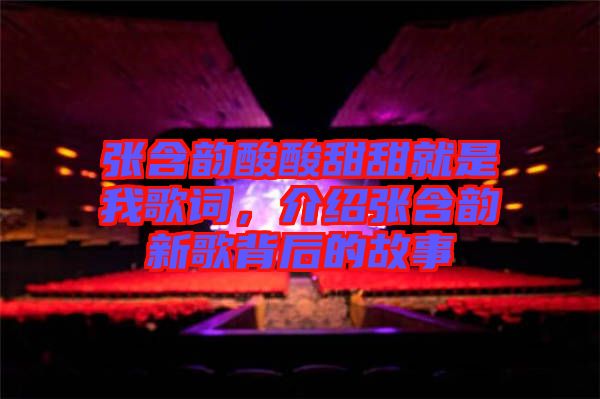 張含韻酸酸甜甜就是我歌詞，介紹張含韻新歌背后的故事