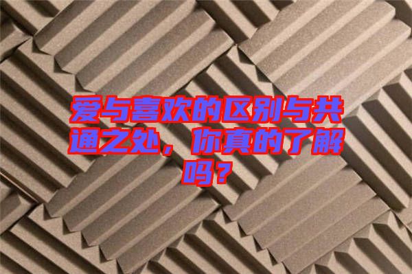 愛與喜歡的區別與共通之處，你真的了解嗎？
