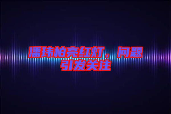 潘瑋柏亮紅燈，問題引發關注