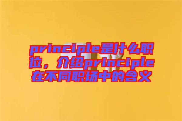 principle是什么職位，介紹principle在不同職場中的含義