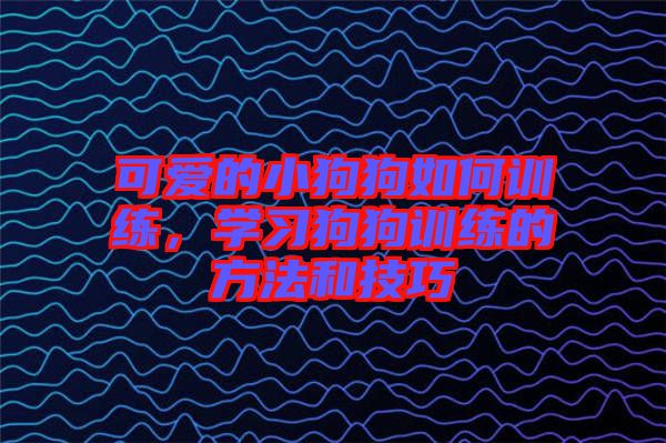 可愛的小狗狗如何訓練，學習狗狗訓練的方法和技巧