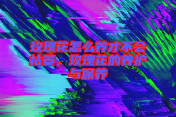 玫瑰花怎么養才不會枯萎，玫瑰花的養護與保養