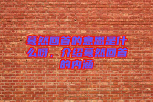 驀然回首的意思是什么呀，介紹驀然回首的內(nèi)涵