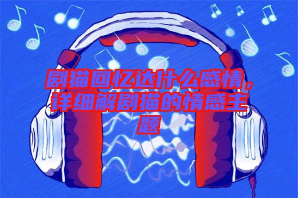 劇貓回憶達什么感情，詳細解劇貓的情感主題