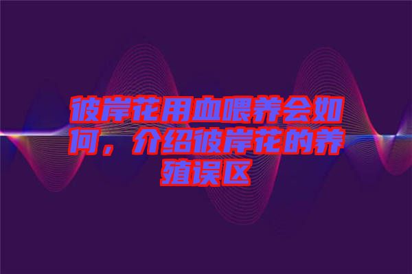 彼岸花用血喂養會如何，介紹彼岸花的養殖誤區