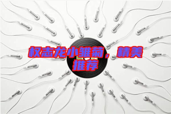 權志龍小雛菊，精美推薦