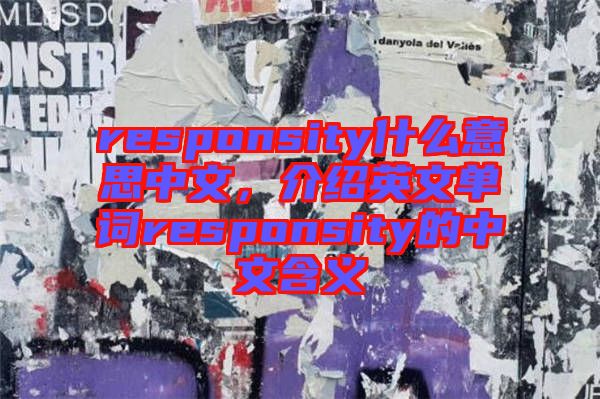 responsity什么意思中文，介紹英文單詞responsity的中文含義