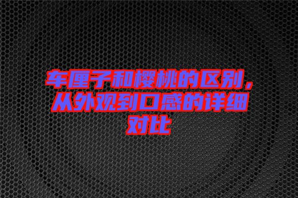 車厘子和櫻桃的區別，從外觀到口感的詳細對比