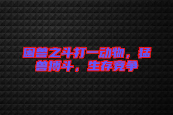 困獸之斗打一動物，猛獸搏斗，生存競爭