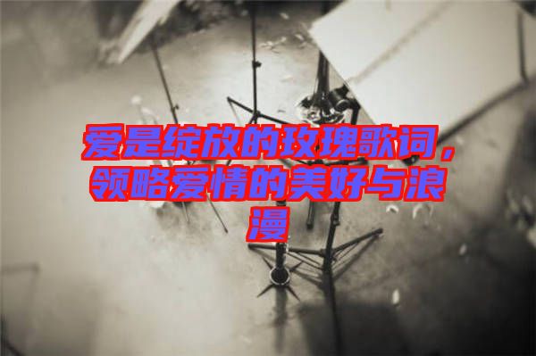 愛是綻放的玫瑰歌詞，領略愛情的美好與浪漫