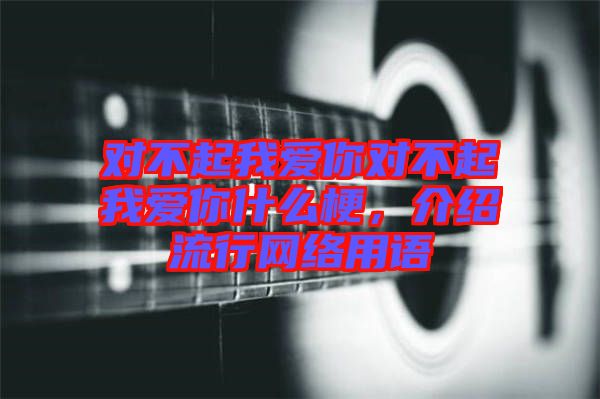 對(duì)不起我愛你對(duì)不起我愛你什么梗，介紹流行網(wǎng)絡(luò)用語(yǔ)