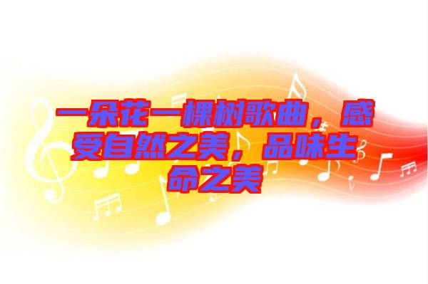 一朵花一棵樹歌曲，感受自然之美，品味生命之美