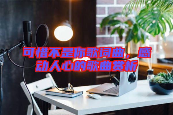 可惜不是你歌詞曲，感動(dòng)人心的歌曲賞析