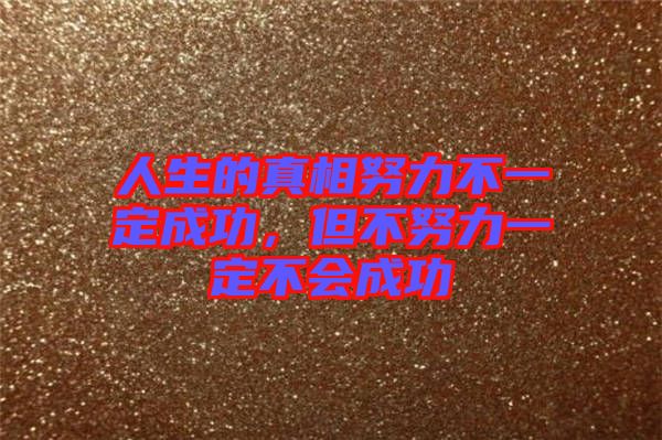 人生的真相努力不一定成功，但不努力一定不會成功