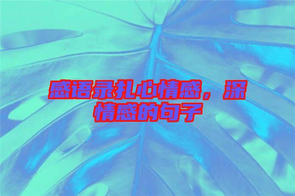 感語錄扎心情感，深情感的句子