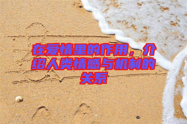 在愛情里的作用，介紹人類情感與機制的關系