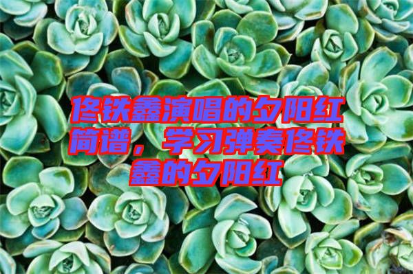 佟鐵鑫演唱的夕陽紅簡譜，學習彈奏佟鐵鑫的夕陽紅