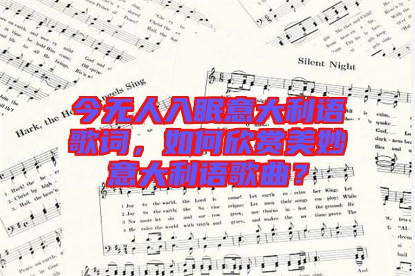 今無(wú)人入眠意大利語(yǔ)歌詞，如何欣賞美妙意大利語(yǔ)歌曲？