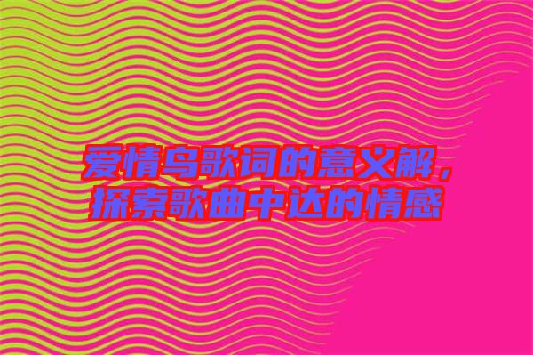 愛(ài)情鳥歌詞的意義解，探索歌曲中達(dá)的情感