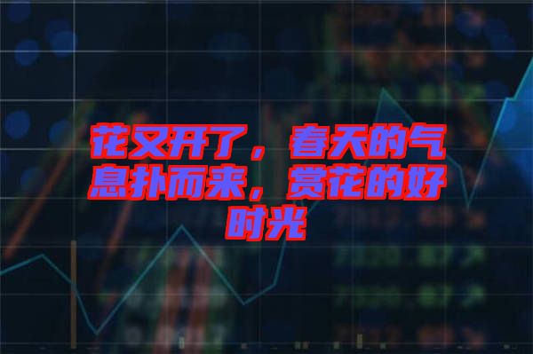 花又開了，春天的氣息撲而來，賞花的好時光