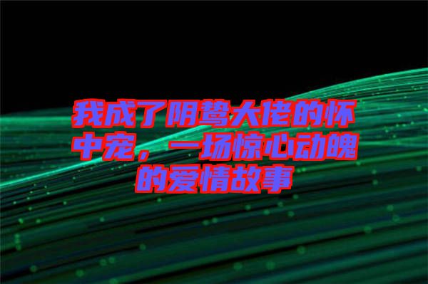 我成了陰鷙大佬的懷中寵，一場驚心動魄的愛情故事