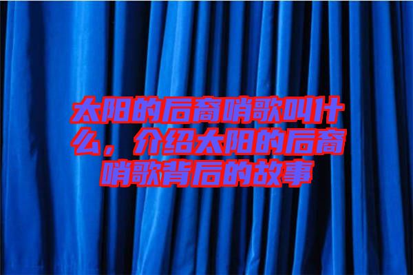 太陽的后裔哨歌叫什么，介紹太陽的后裔哨歌背后的故事