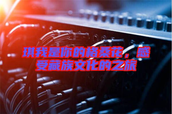 琪我是你的格桑花，感受藏族文化的之旅