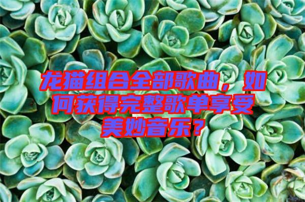 龍貓組合全部歌曲，如何獲得完整歌單享受美妙音樂？