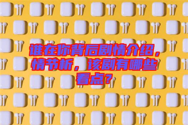 誰在你背后劇情介紹，情節析，該劇有哪些看點？