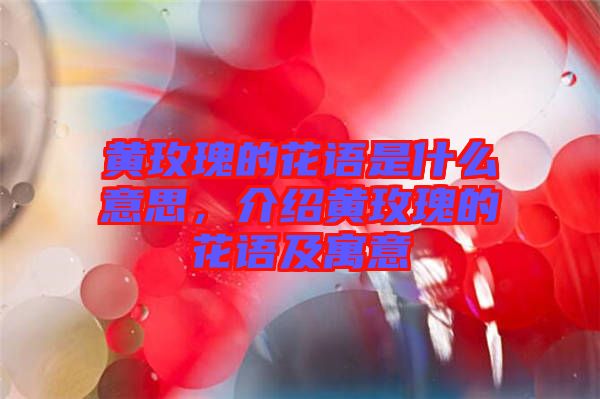 黃玫瑰的花語是什么意思，介紹黃玫瑰的花語及寓意